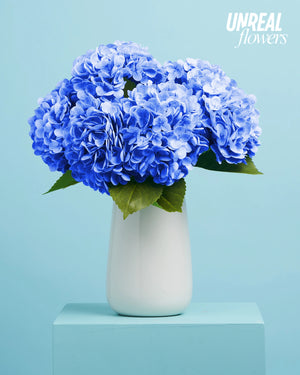 Unreal Blue Hydrangea