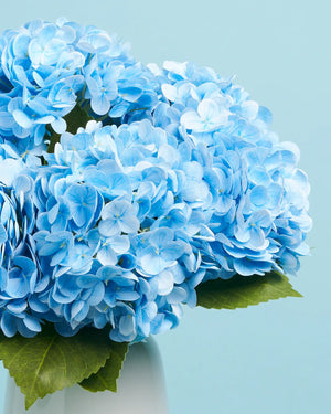 Unreal Blue Hydrangea