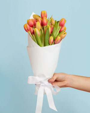 Tulips