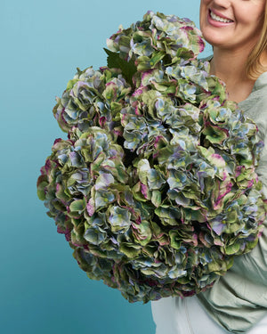 Unreal Green Hydrangea