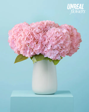 Unreal Pink Hydrangea