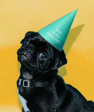 Party Hat - 'This is my party hat'