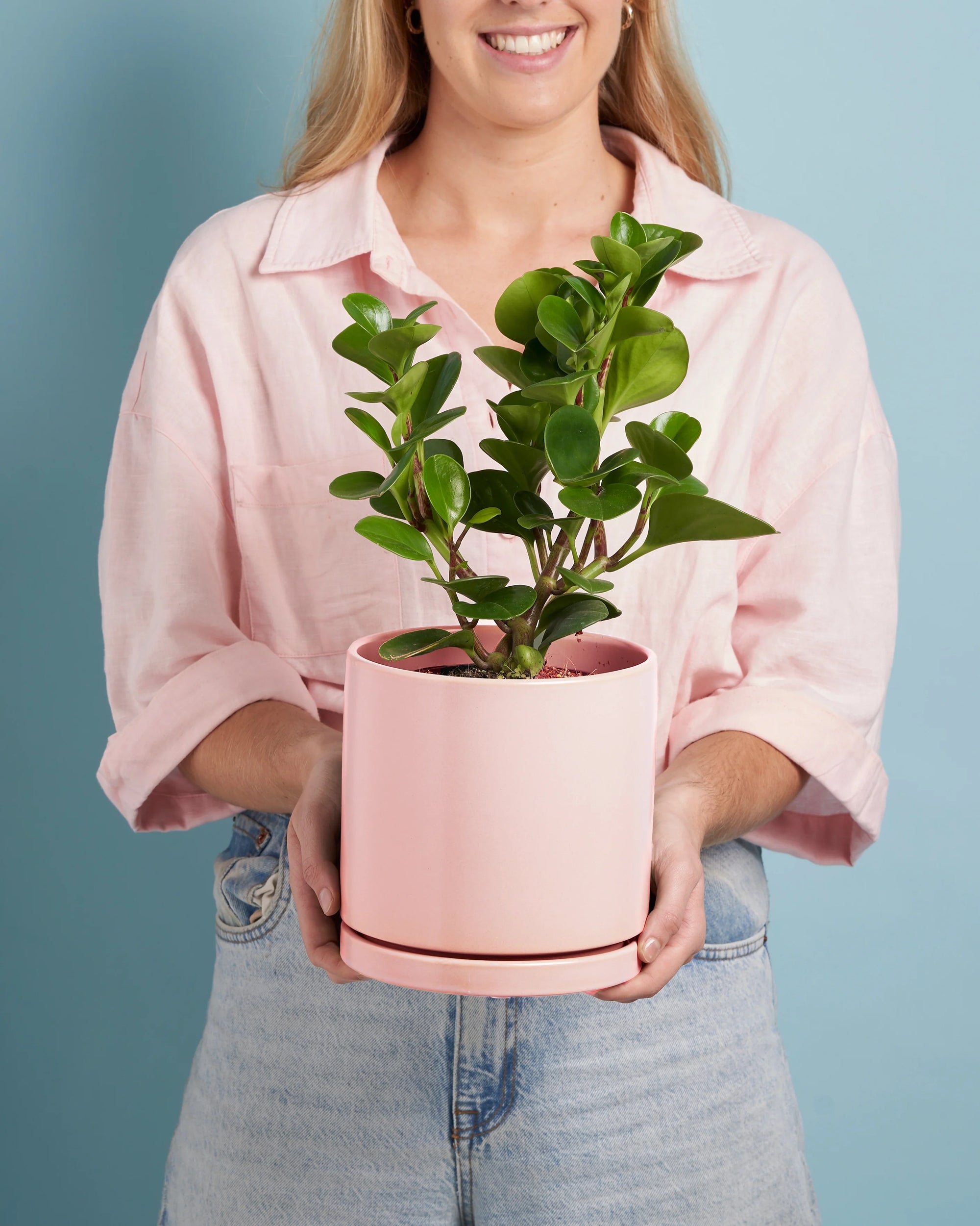 Plant + Dusty Pink Pot