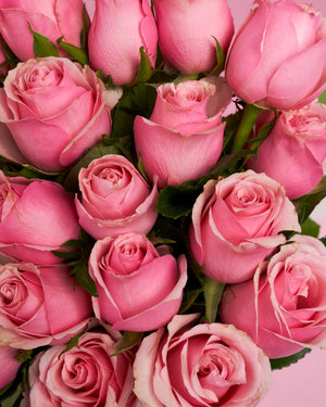 Pink Roses