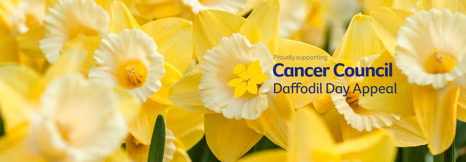 Daffodil Day: Uniting Against Cancer For A Brighter Future