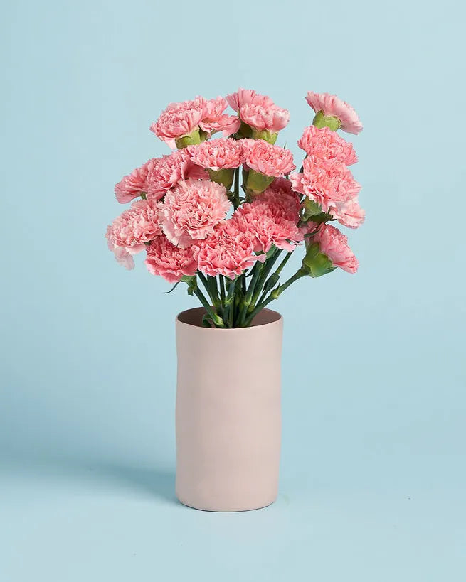 Carnations + Vase