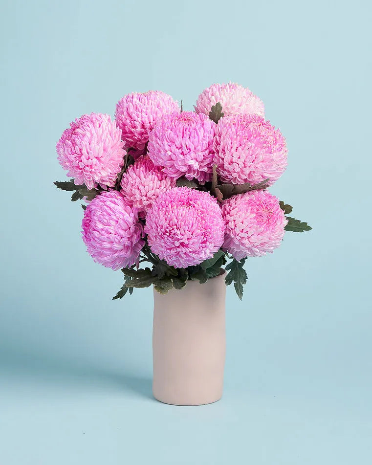 Disbuds + Vase