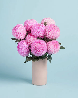 Disbuds + Vase