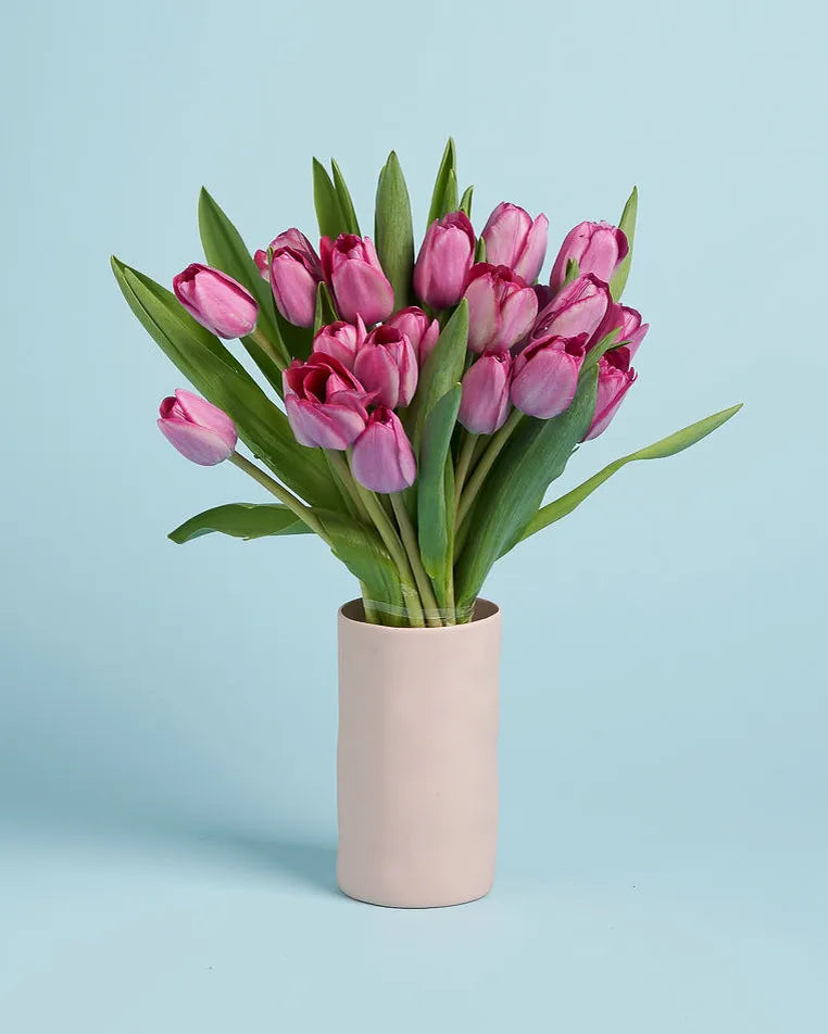 Tulips + Vase