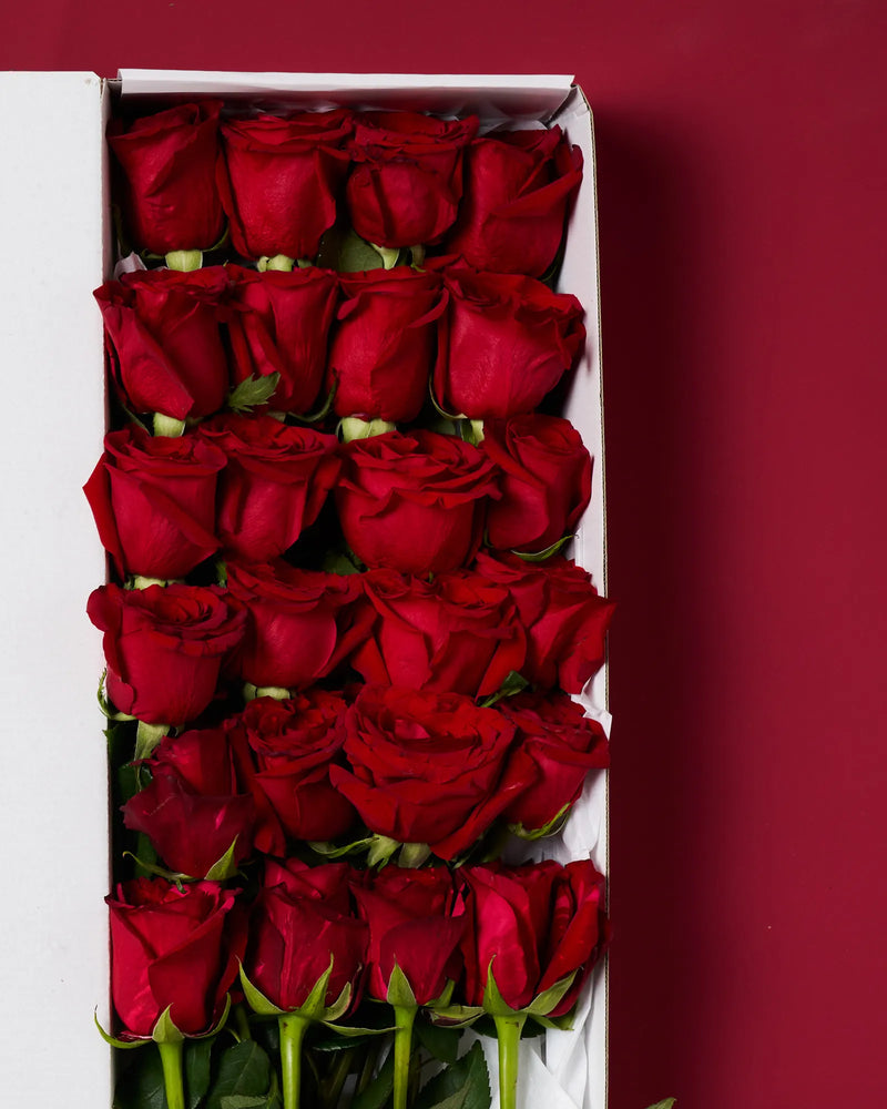 24 Long Stem Red Roses