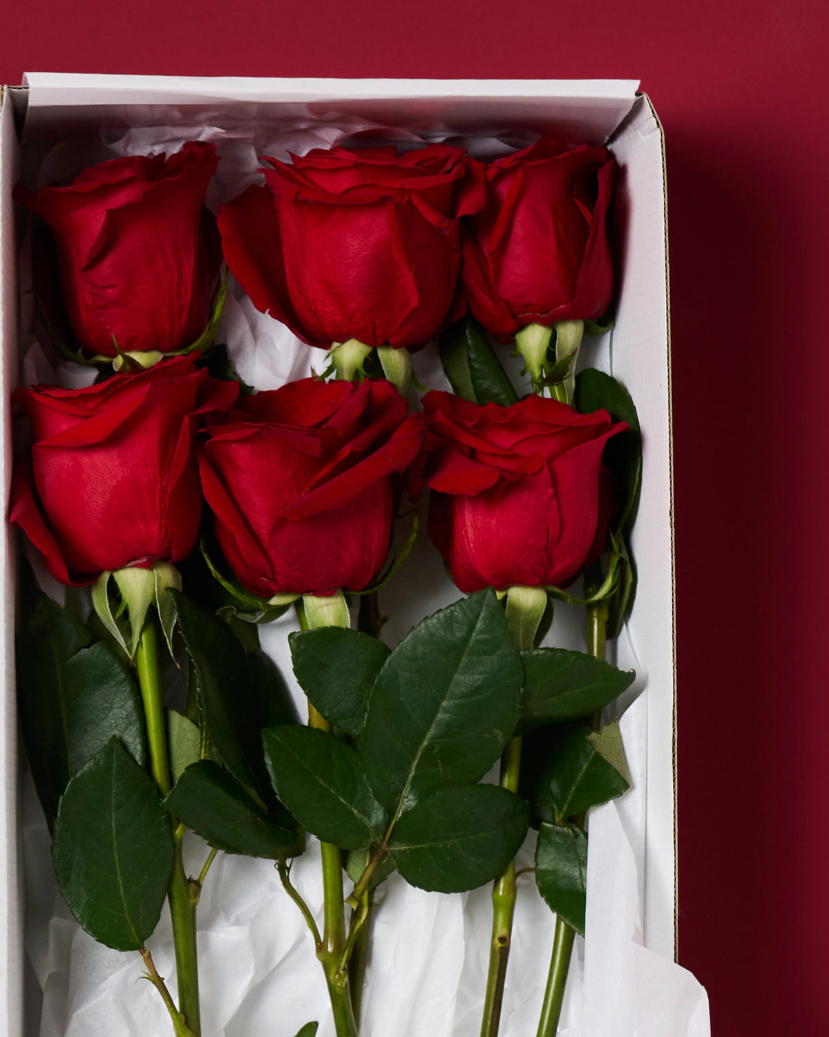 6 Long Stem Red Roses