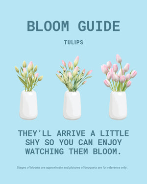 Tulips