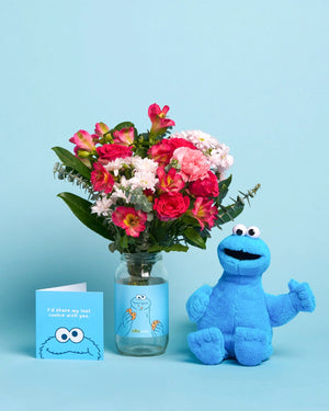 Cookie Monster Cravings