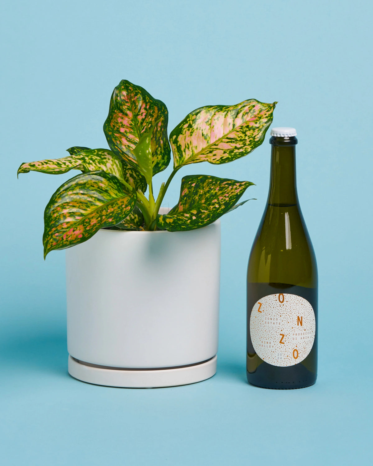 Plant + Prosecco