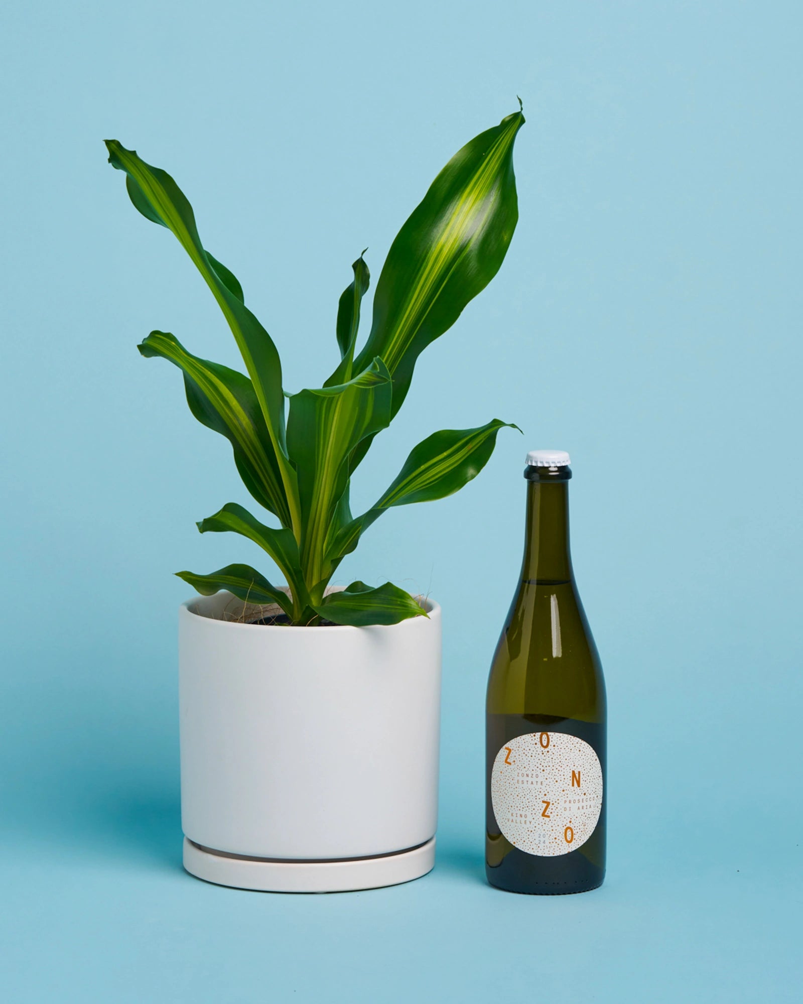 Plant + Prosecco