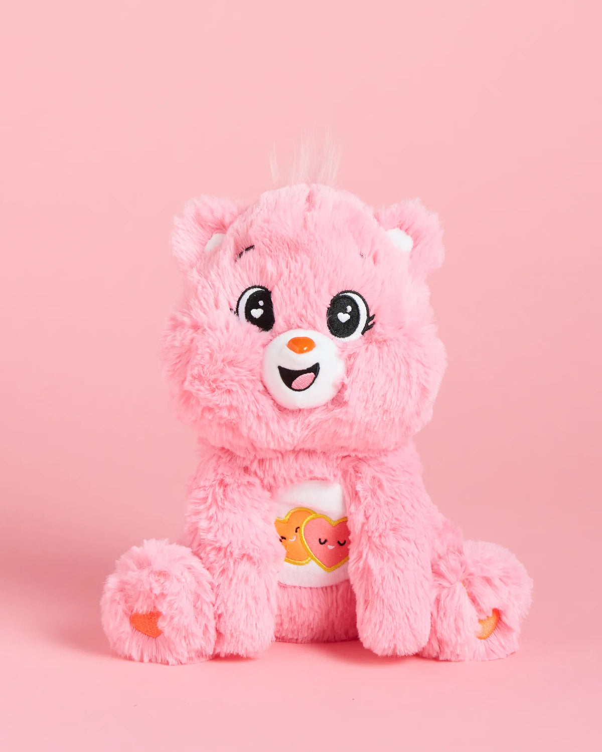 Love A Lot Care Bear + Native Posy