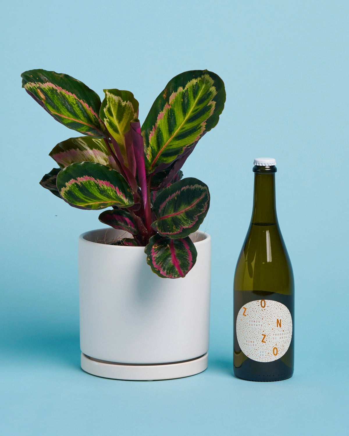 Plant + Prosecco
