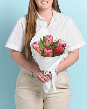 Proteas