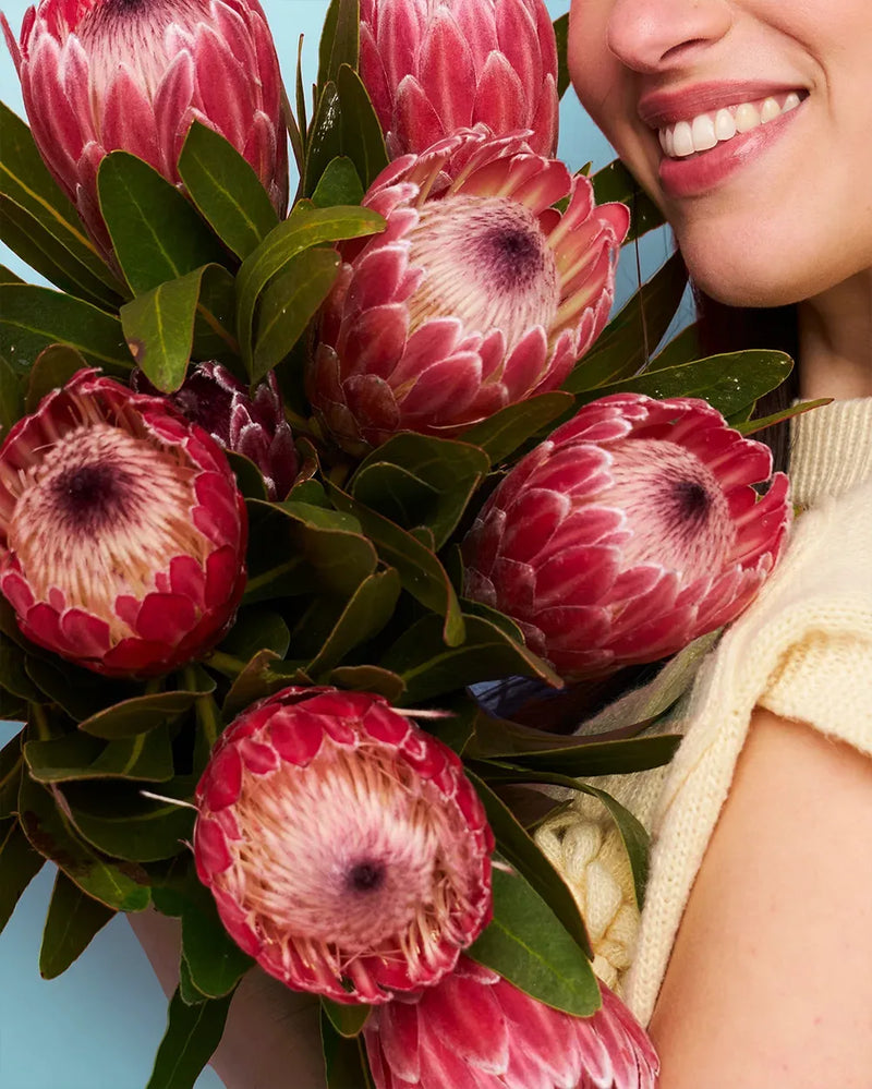 Proteas