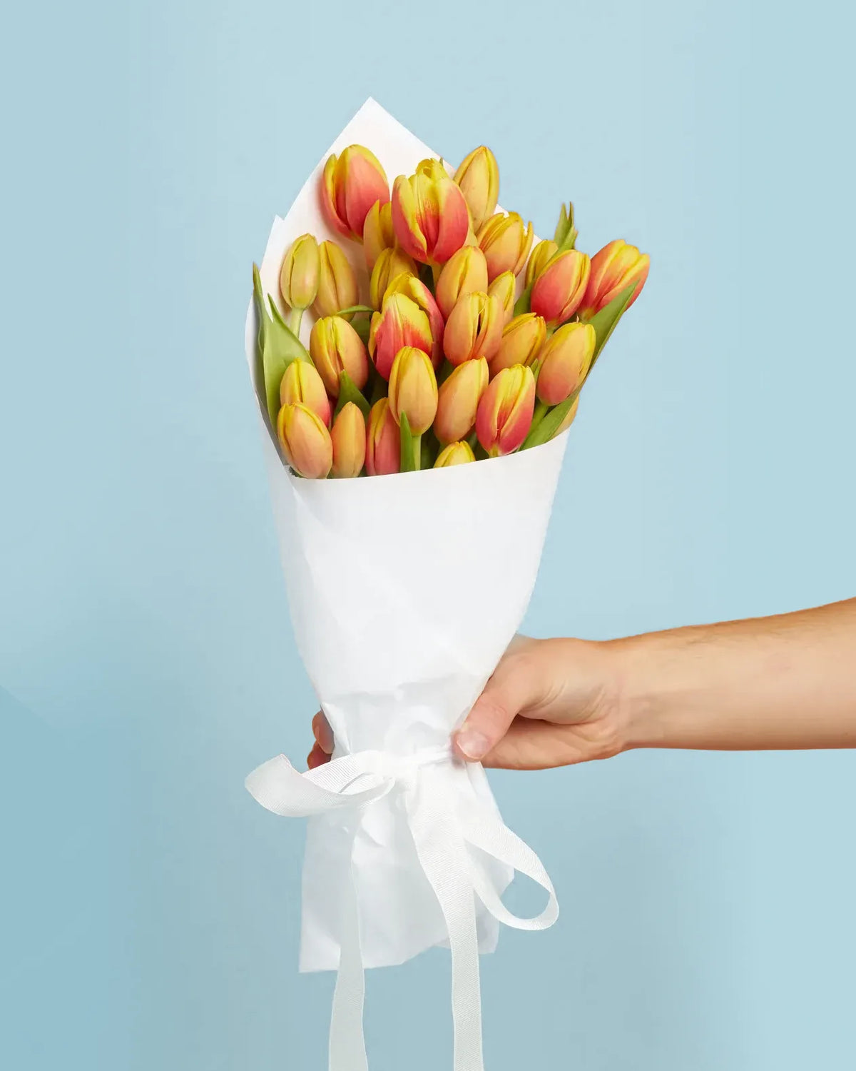 Tulips
