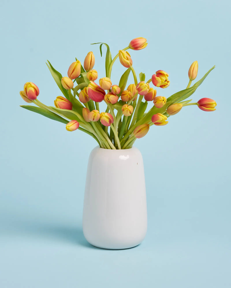 Tulips + Vase