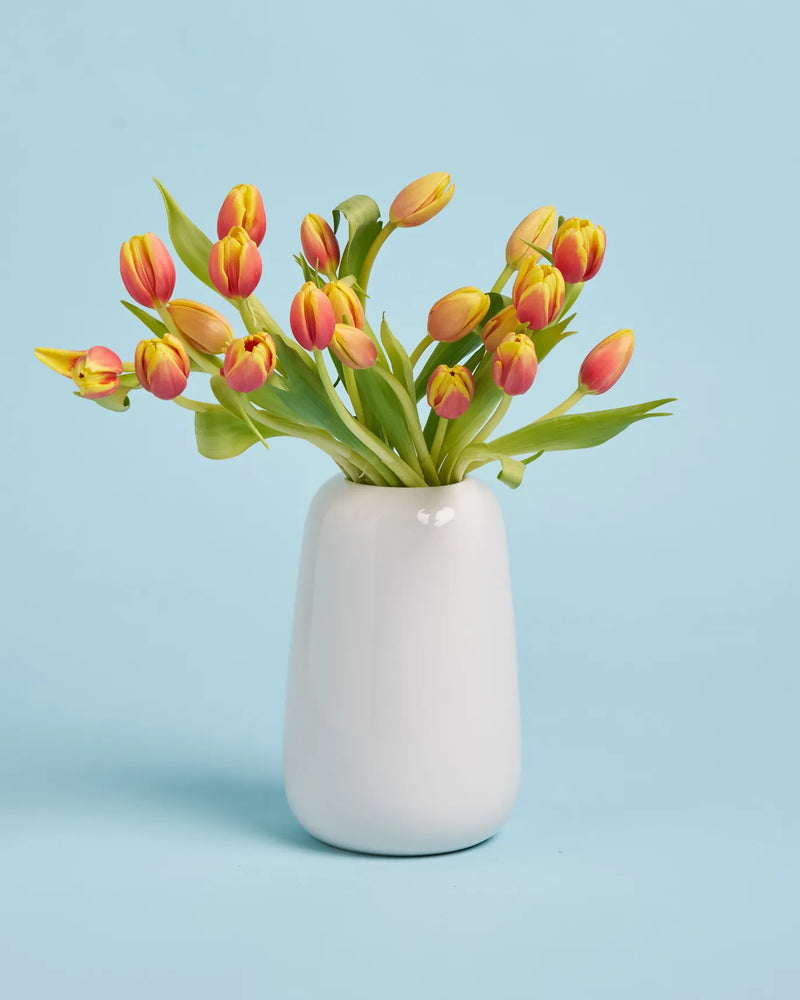Tulips + Vase