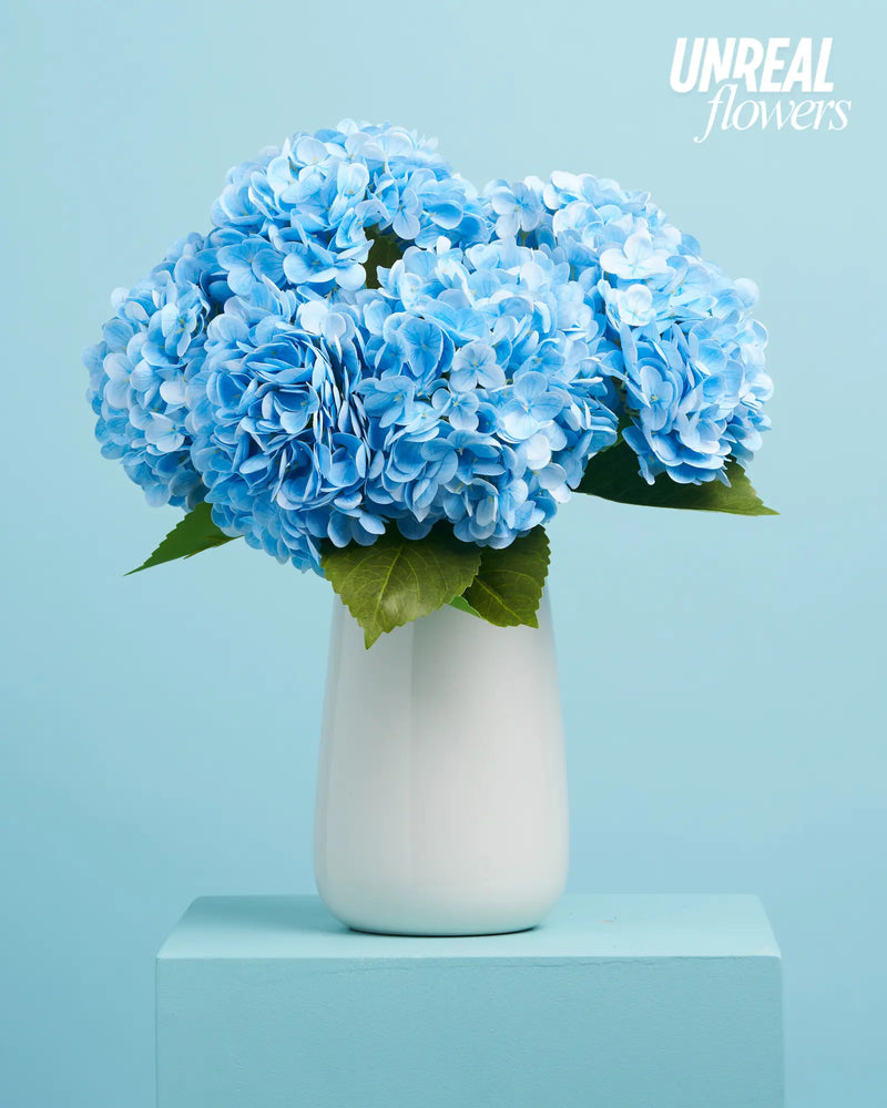 Unreal Blue Hydrangea