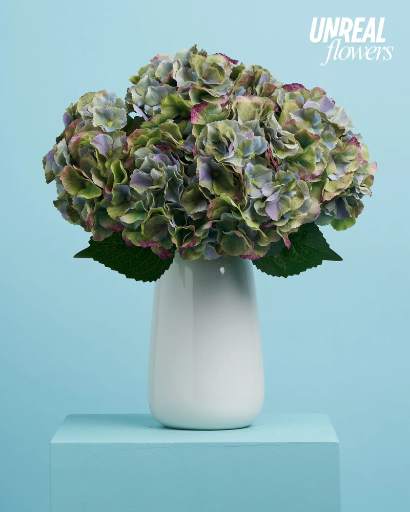 Unreal Green Hydrangea