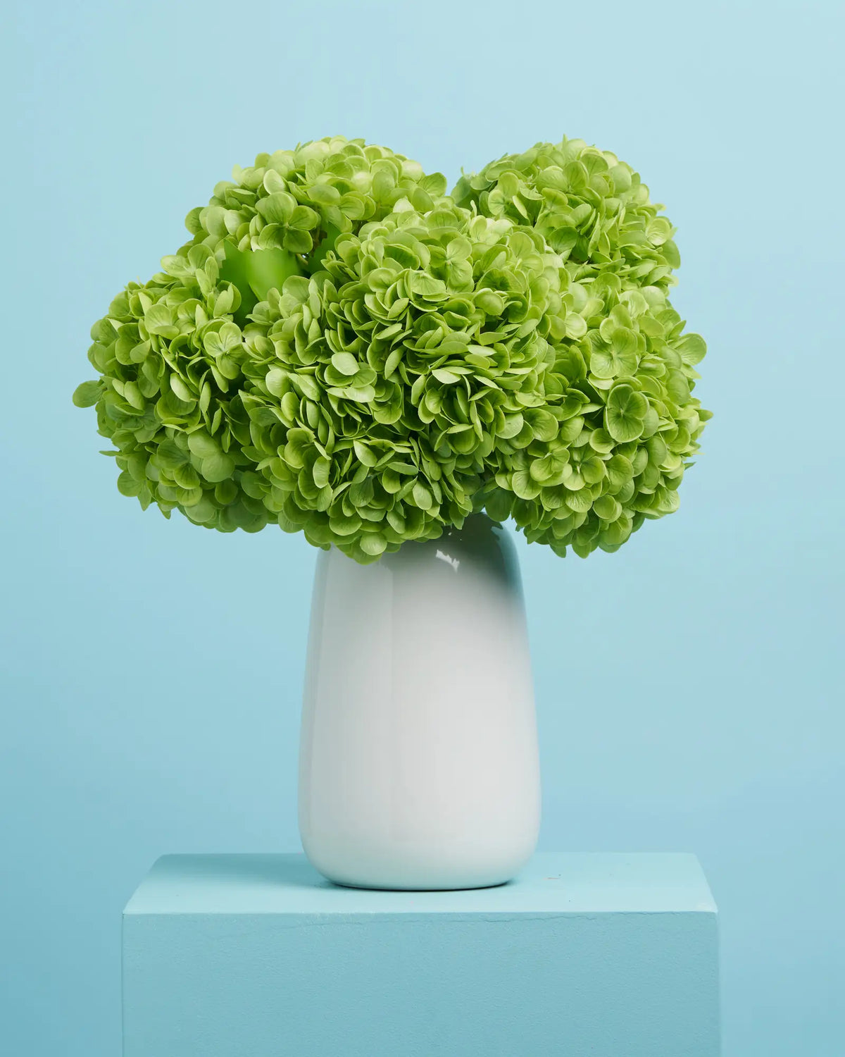 Unreal Green Hydrangea