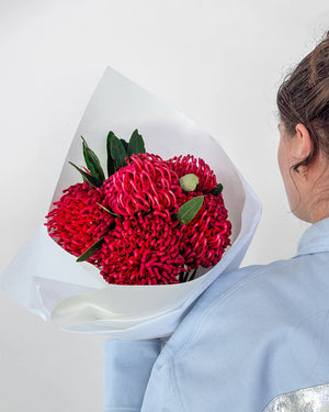 Waratahs
