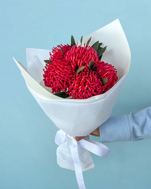 Waratahs