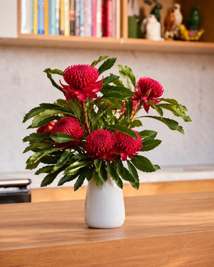 Waratahs