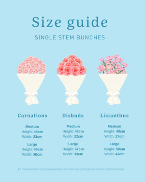 Carnations + Vase