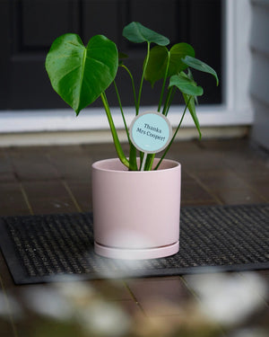 Personalised Plant + Pot