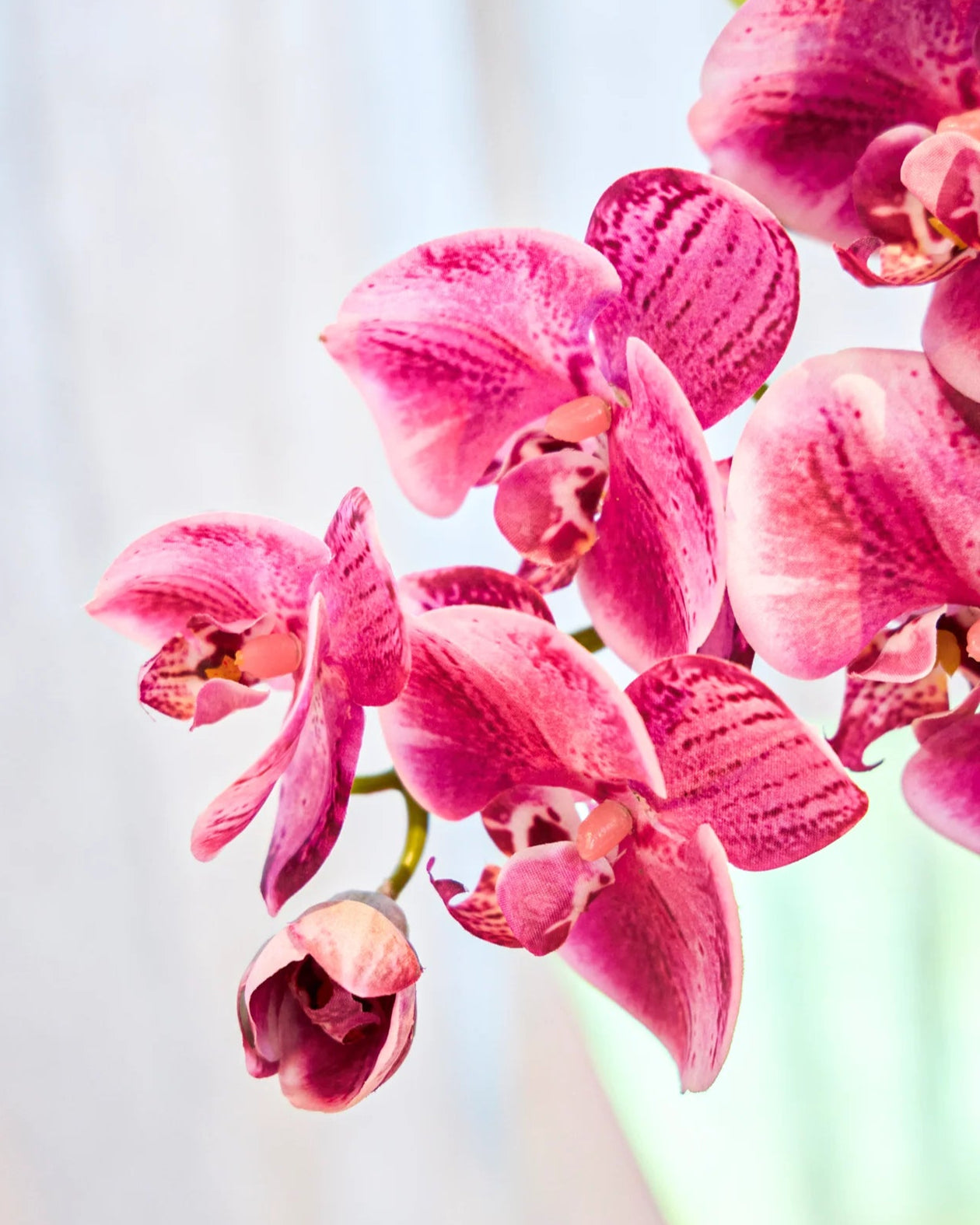 Sorbet - Premium Artificial Flowers