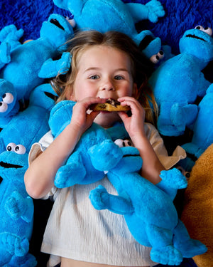 The Big Cookie Bundle