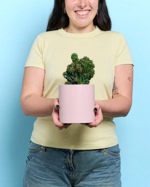Personalised Cuddly Cactus