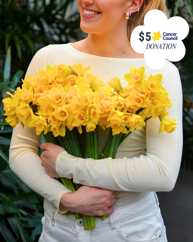 Daffodils