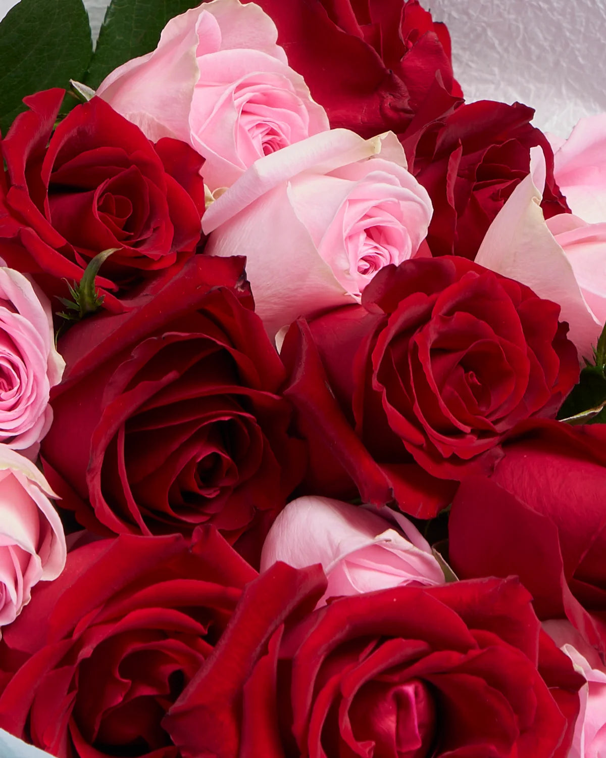 Romantic Rose Combo + Vase