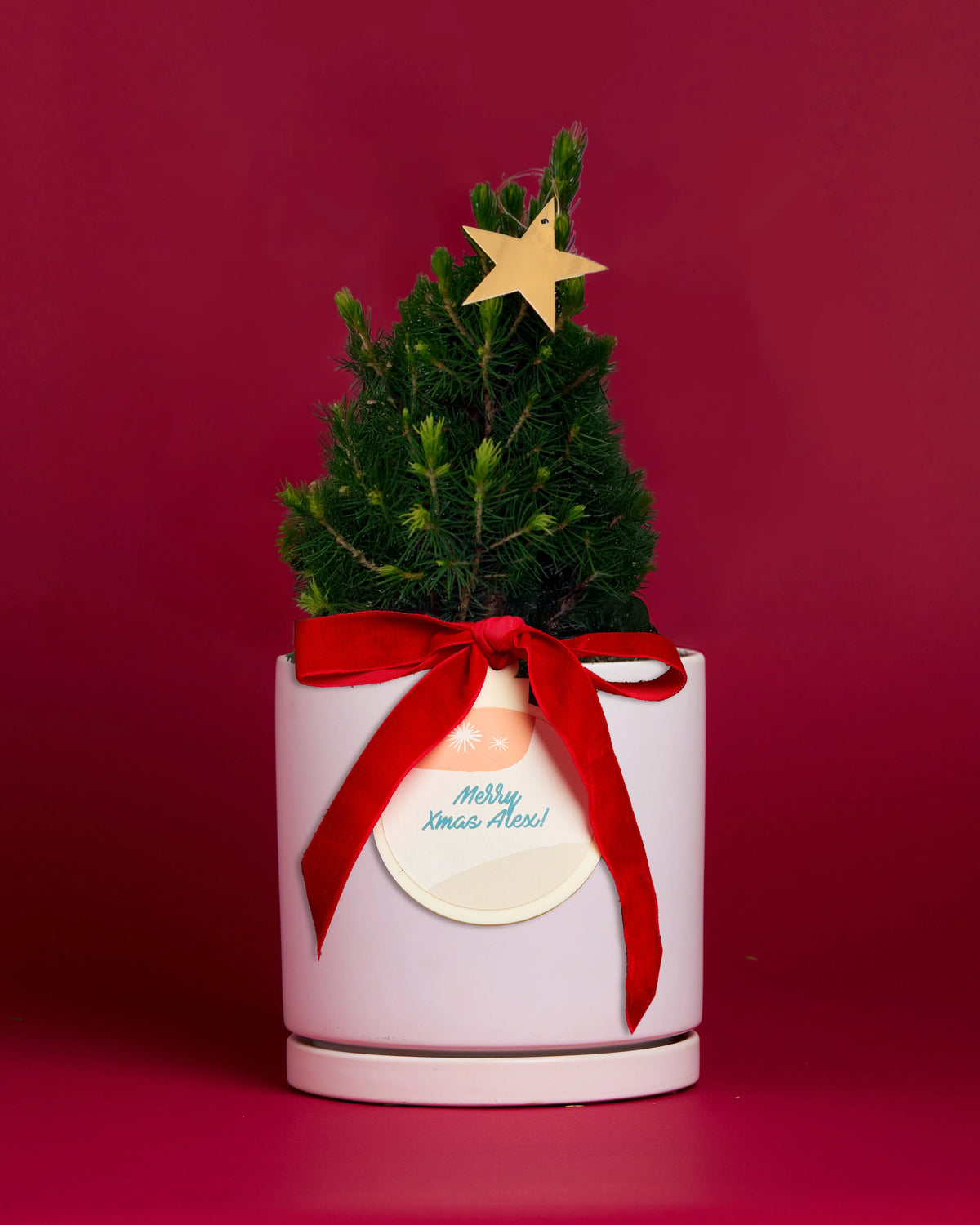 Mini Personalised Xmas Tree with Bauble + Pot