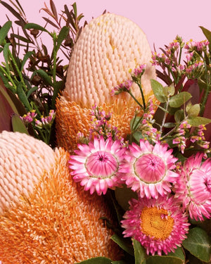 Love A Lot Care Bear + Native Posy