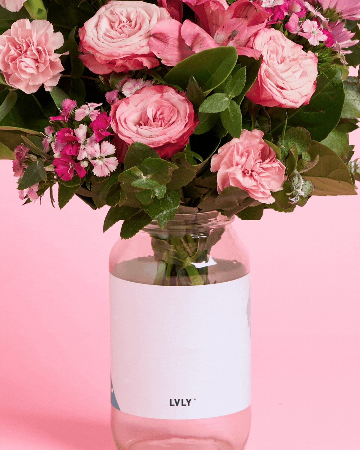 Seasonal Australian Flowers | Same-Day Delivery - LVLY