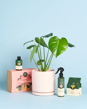 Plant + Care Kit