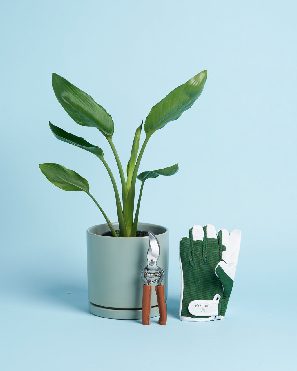 Plant Pro