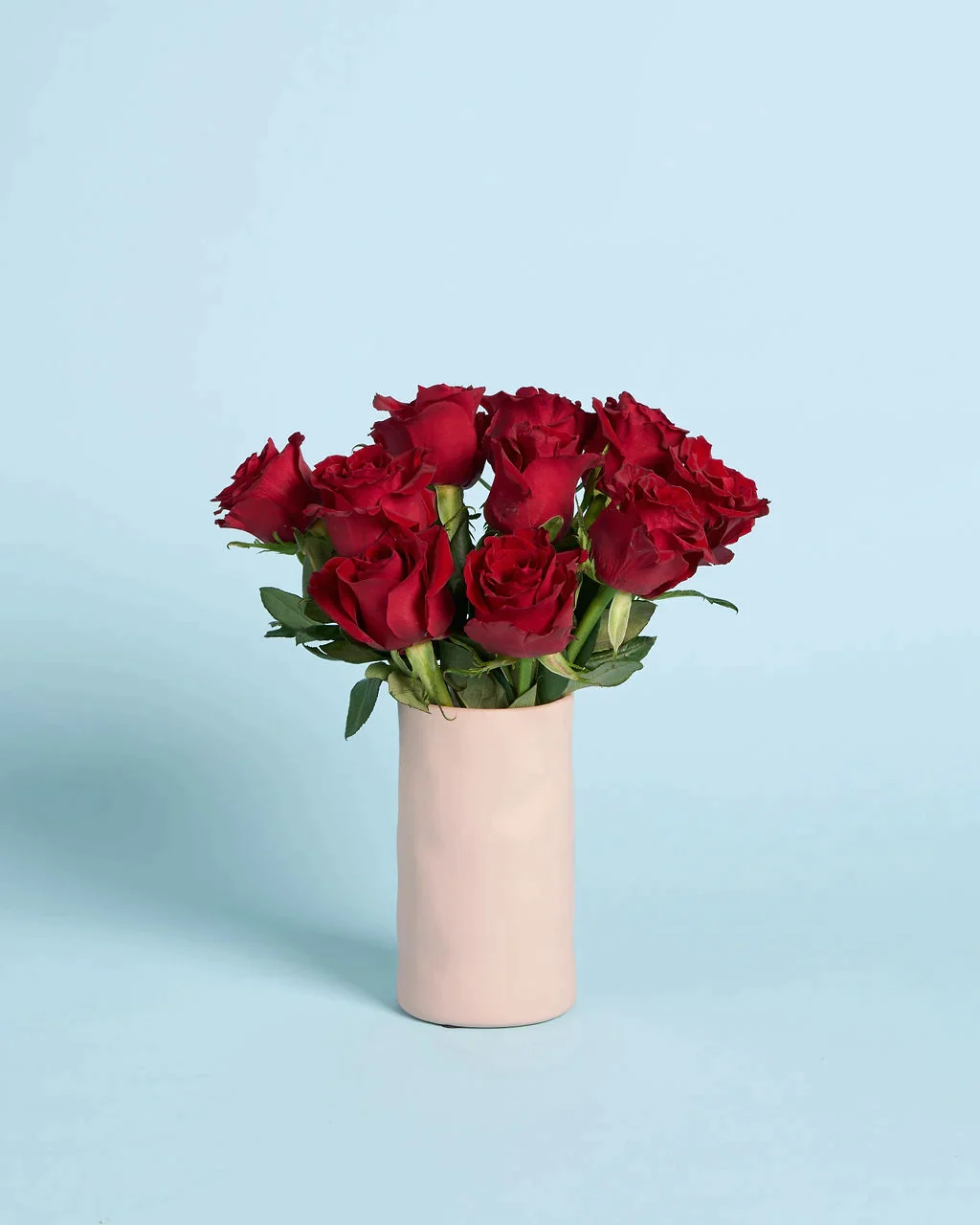 Red Roses + Vase - LVLY
