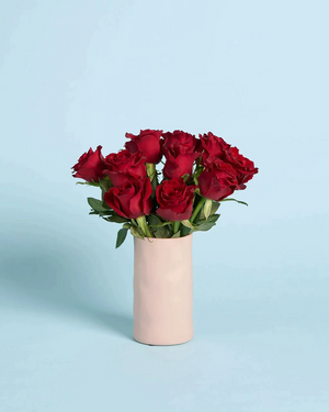 Red Roses + Vase