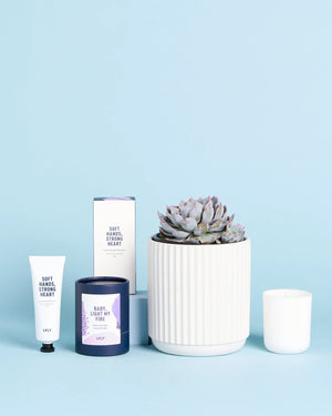 Self Care Sucker