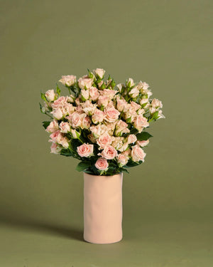 Sympathy Spray Roses + Vase