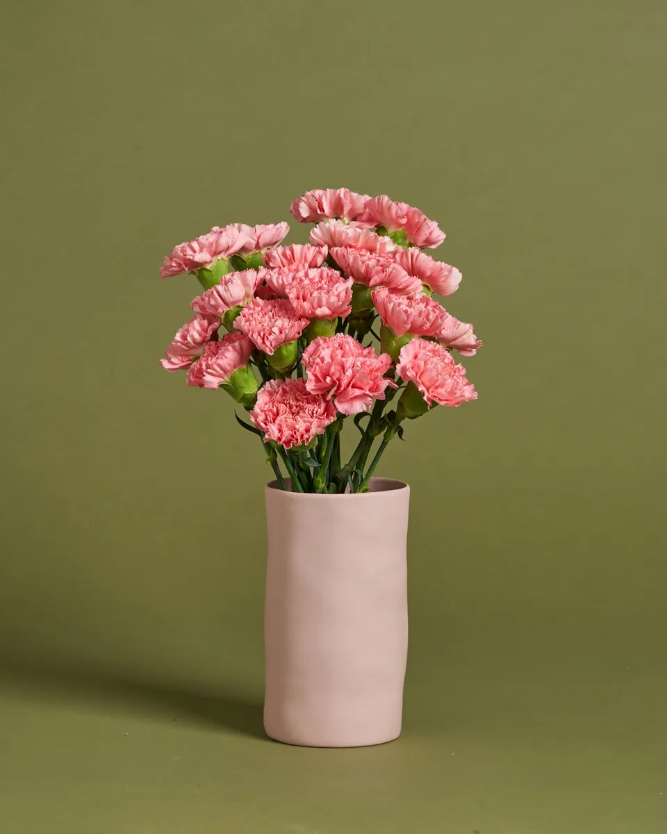 Sympathy Carnations + Vase