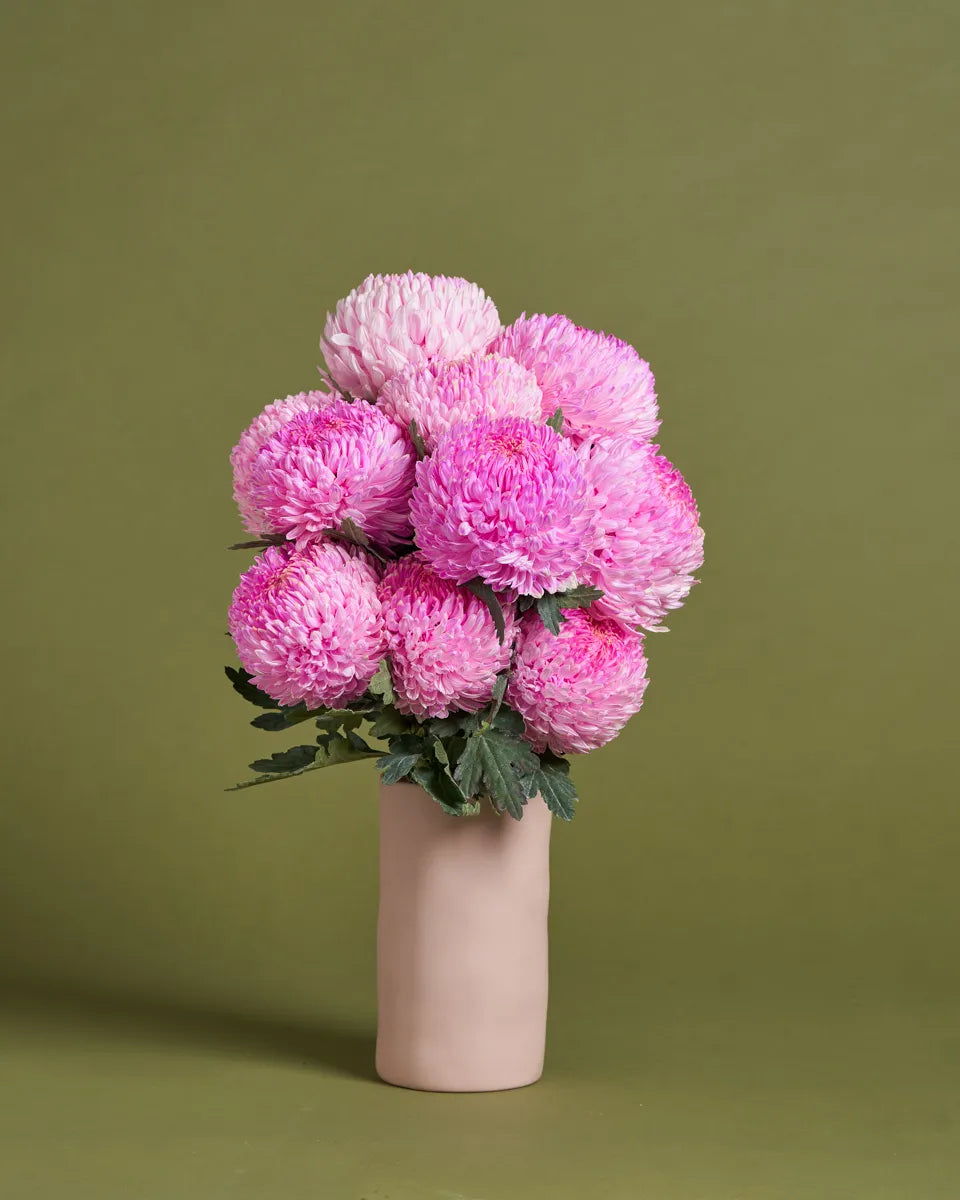 Sympathy Disbuds + Vase